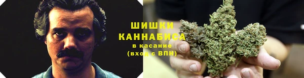 ECSTASY Богородицк